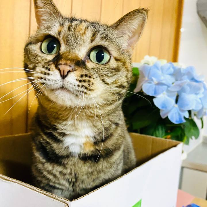 59924db5 353f 4eeb 8988 c7c1d69323ed 1680439145759