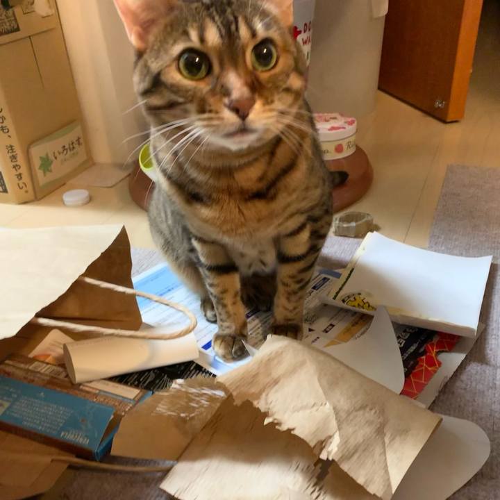 59927d01 a796 4776 b4b5 0679bf97cca4 1619678368095