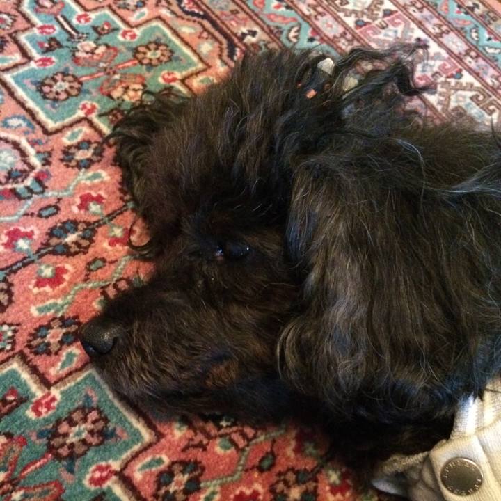 5992aee1 2e07 4319 909b 81b45e616e38 1573860080702