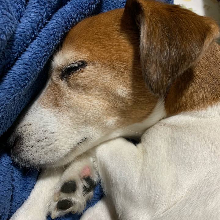 5992c908 a39d 40c7 aee8 3852143df75f 1561470583191