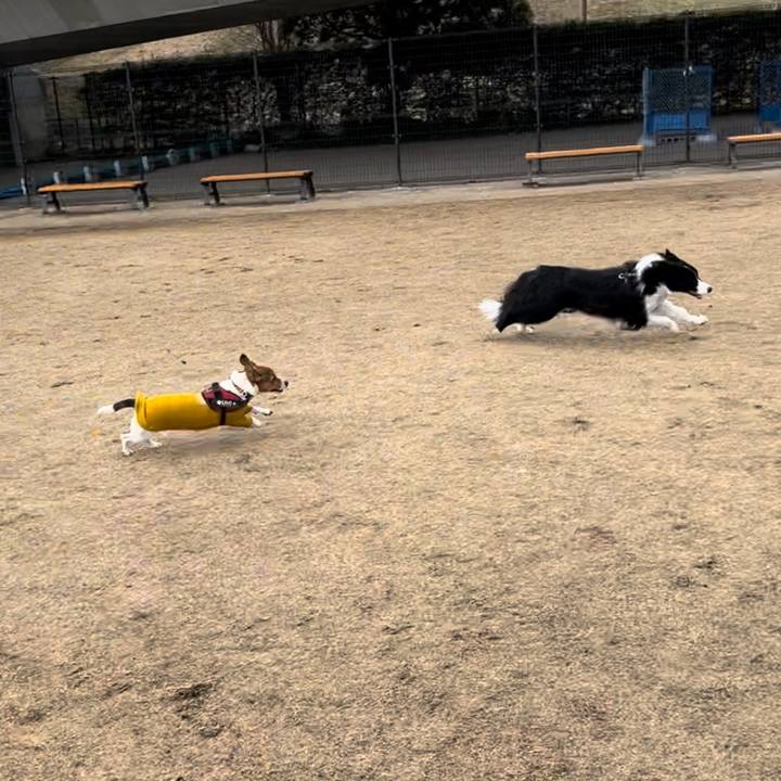 5992ecc7 e0f9 4600 92f7 db016f89fb5b 1709371145010