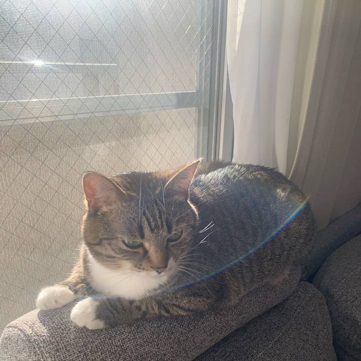 59930c84 442a 4946 a1a9 bd9c9945c892 1642425501708