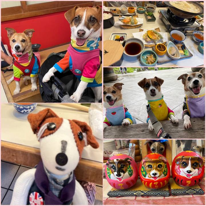 599310d2 20df 4b15 a117 4914bf722389 1747579362612