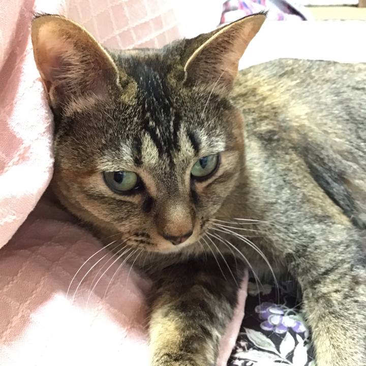 59931486 9eff 4c36 89f1 5742a808d6a1 1647045750344