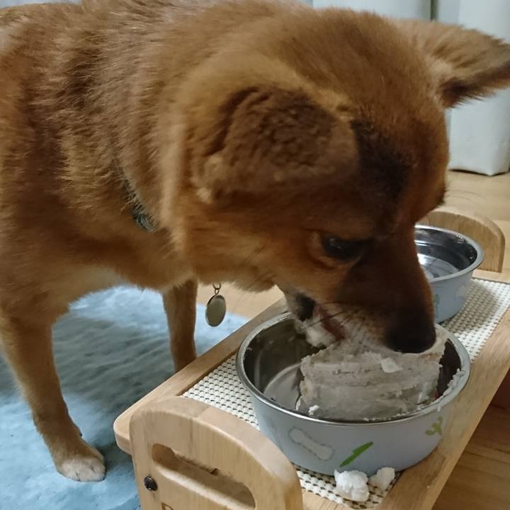 59933487 b9f7 465e a021 36d7443e29f4 1546078037197