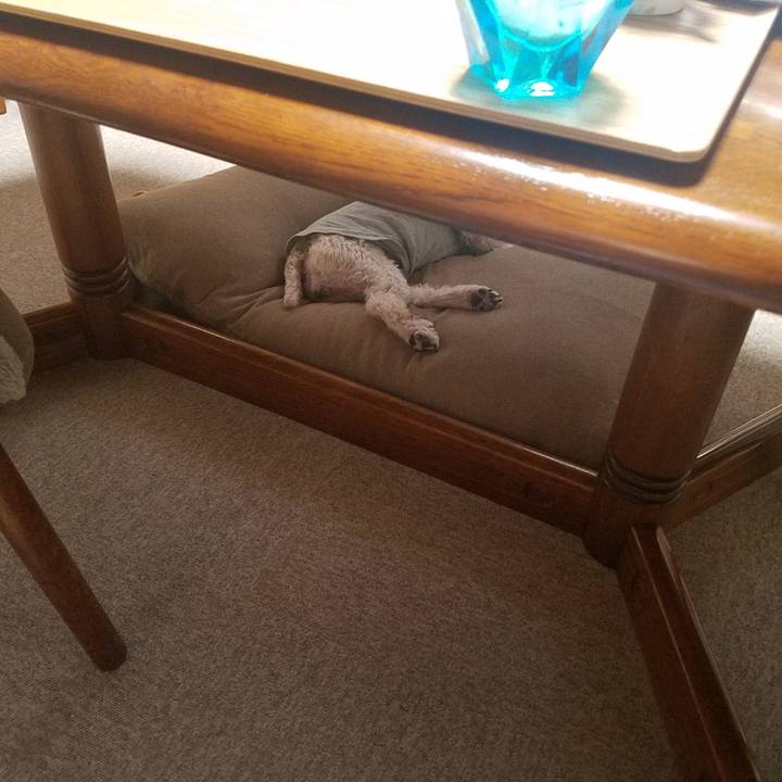 59937226 0603 4c7e a869 b9cbd848e224 1601812352808