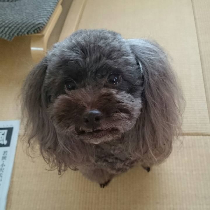 599399f9 62ba 4273 87b4 d8179a9e3dc6 1508940284521