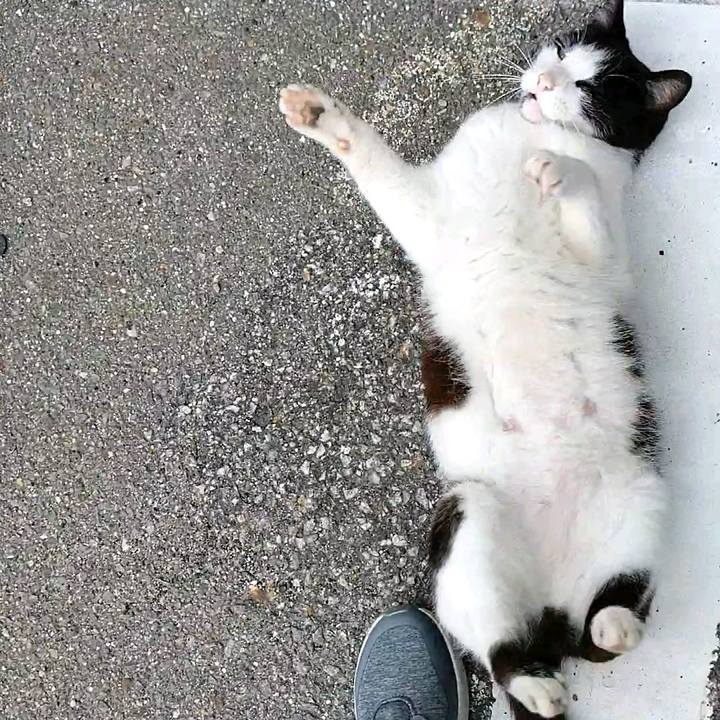 5993c824 4137 486f a844 7fd128740a58 1594769123596