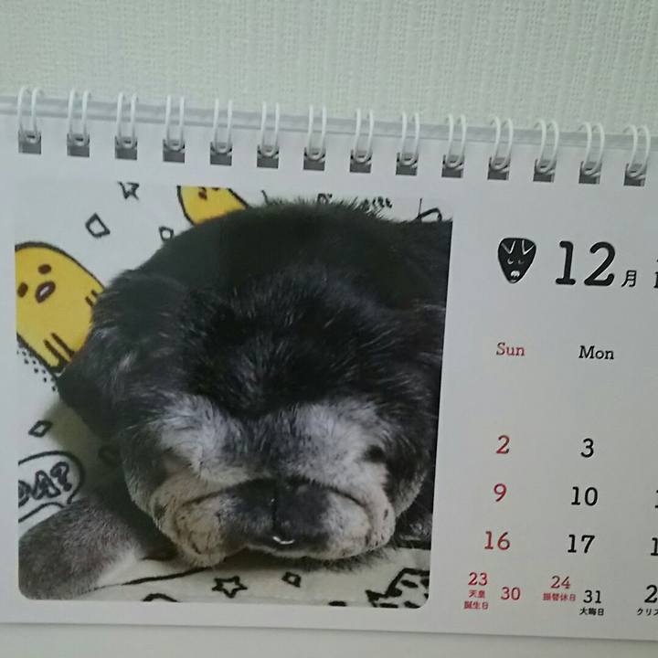 5993e022 6fcd 47d4 bc56 c0d252334a55 1543640926082