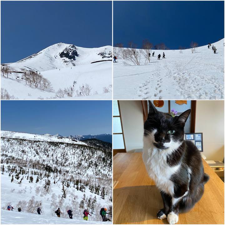 59940271 cc0f 47b0 995c 5206c41cff19 1746328446855