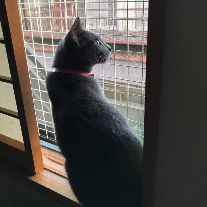 599415be 50c9 4826 820c bbbf4116000b 1531699316282