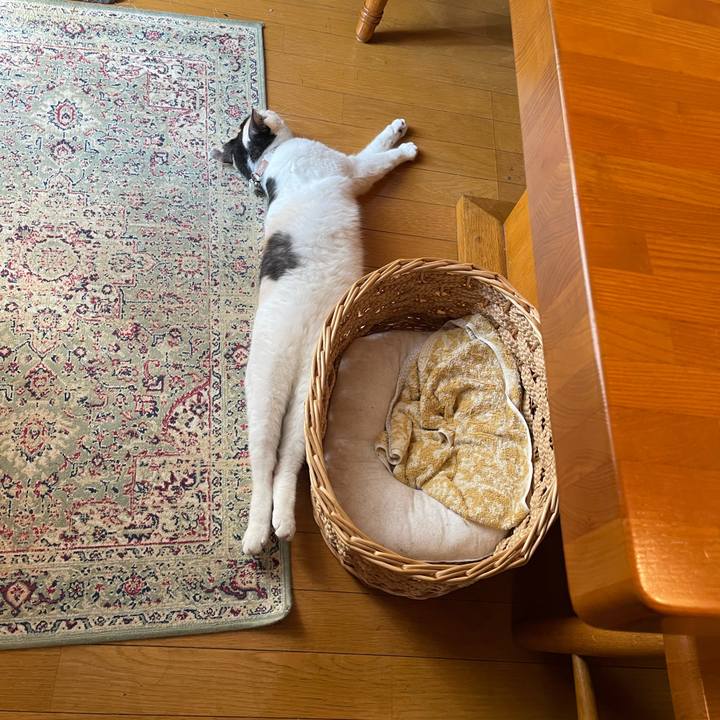 599425f6 a089 430c 8199 6563819b254a 1753659289438