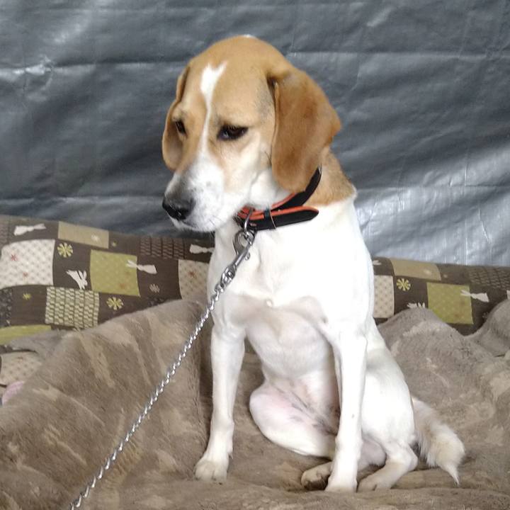 599426ba 5ad7 4c48 8ff0 55f3215e37a5 1621736588978