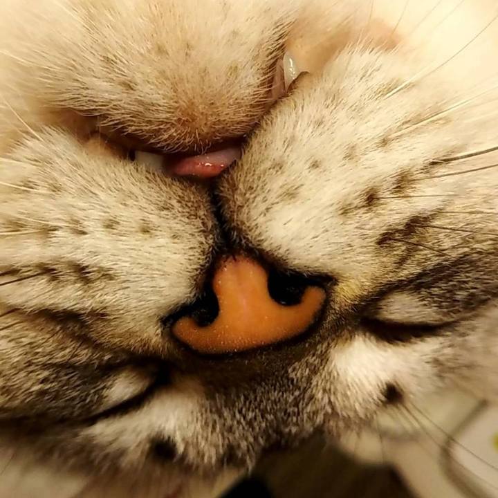 59943eab 2ca2 49ef b594 7c80cf417a4f 1630115775021