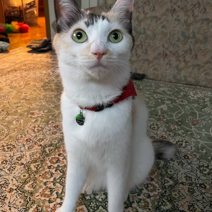 59945958 1807 4ded 888c 37c9c4ea7a72 1725872144376