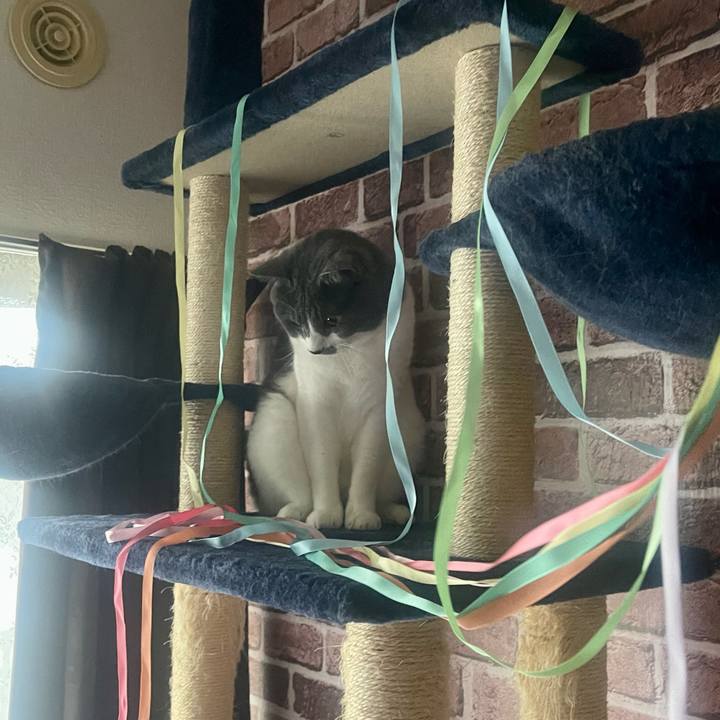 59945e3e e031 4720 bea8 07479bccae84 1655888921827