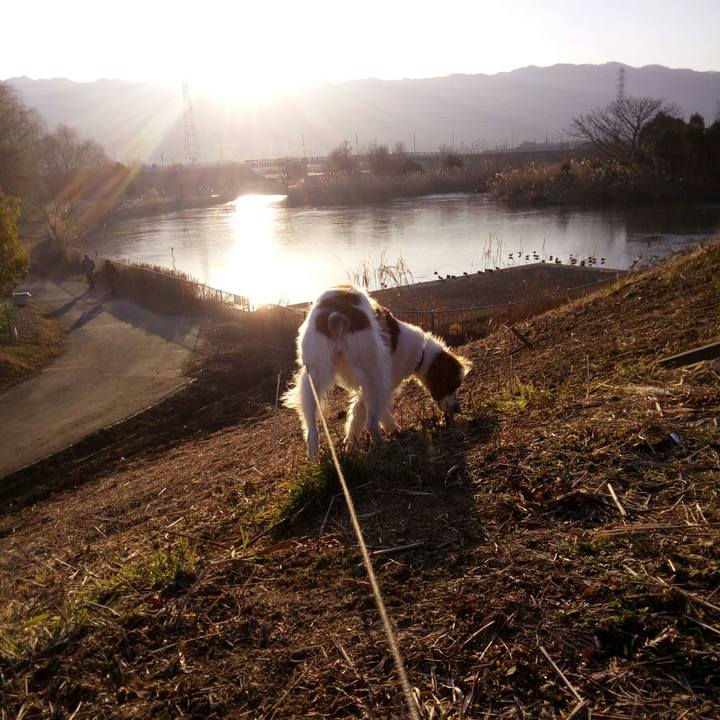 5994615c d35c 4554 bd31 bf38eb57b262 1517876770321