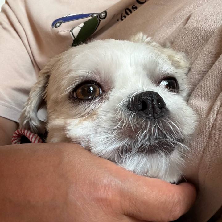 5994631d 58d7 4bf0 997b 2f82d534b65f 1757885971238