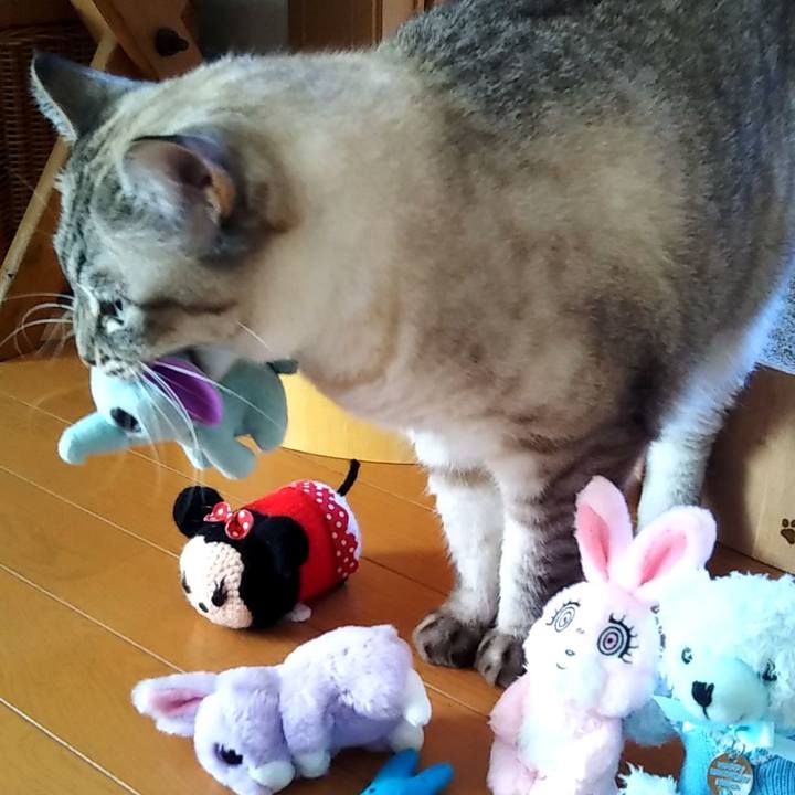 5994829c d491 4d92 a173 646c9e7fc457 1598147069418