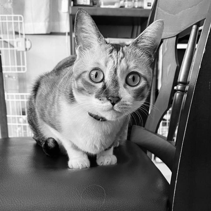 59949bd7 0105 4c5a bdbd df931f3f8f2c 1758935760530