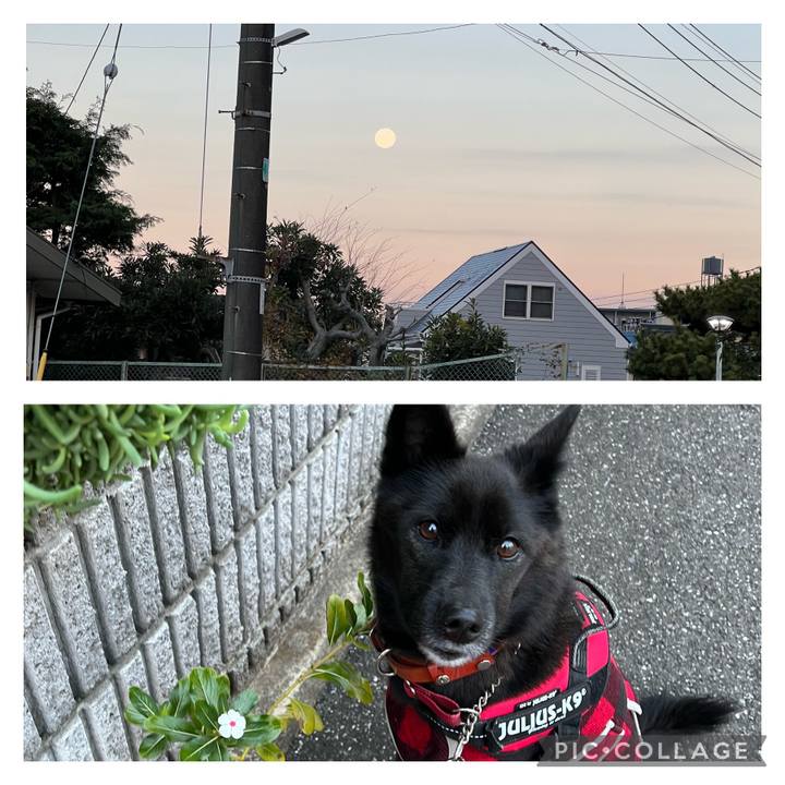 5994a4dd 2700 437f 84b9 32e997ad9870 1670635597325