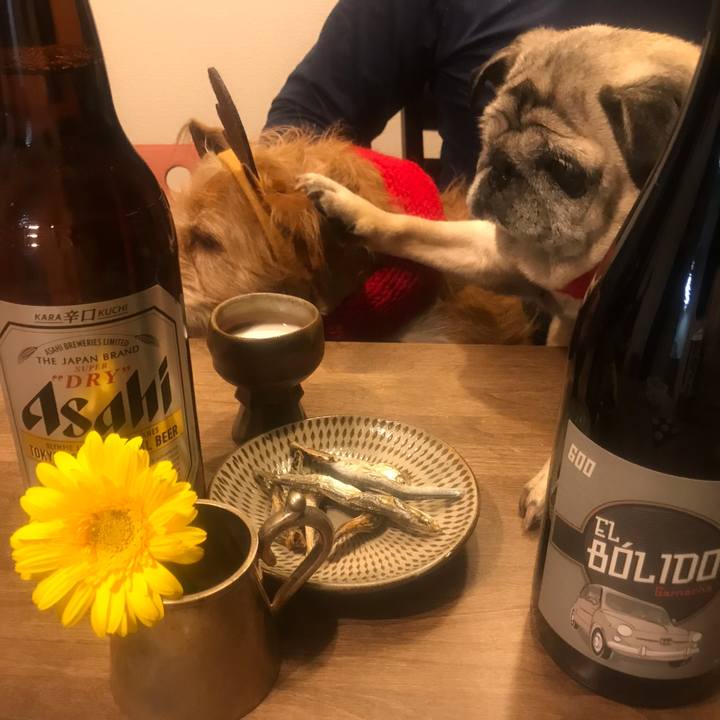 5994a5ee 9403 4d7a a86a 9a871a76759f 1608810563132