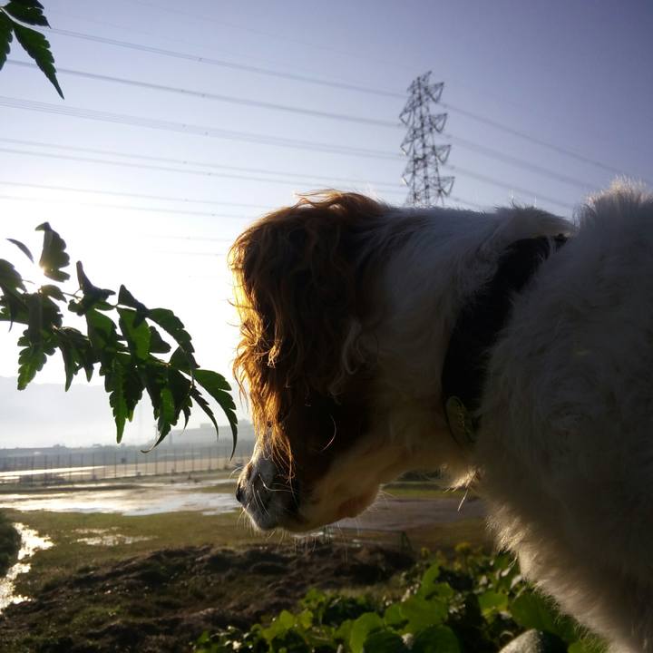 5994af4a ebb2 434f 8e5e 2abc26ee3f89 1508978552687