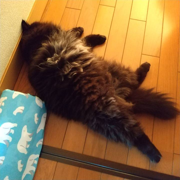 5994cff5 cf41 489f b4df 179f1c256fea 1688634480006