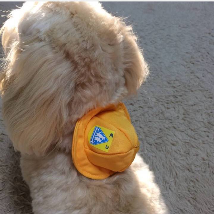 5995225f a50f 4528 8c09 030b7723894e 1775115034773