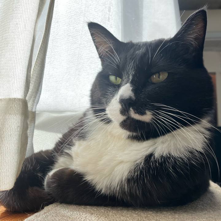 5995a1ca 162a 4039 a304 9e37373c7cae 1768540277670