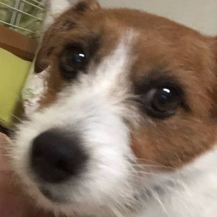 5995a9d7 41aa 4ac8 876e 623ccea7f407 1528624773485