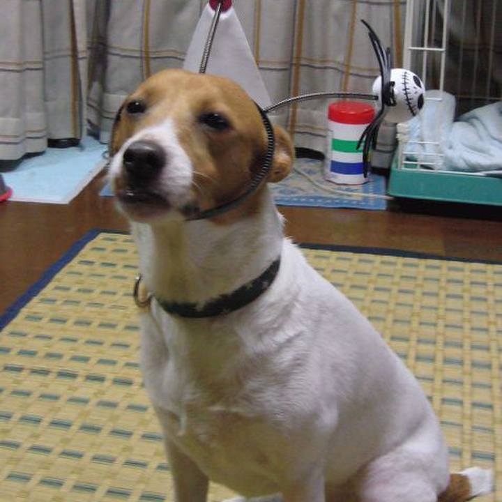 5995ad6e f62c 4e94 a30a eba4a2eb51d5 1666356855427