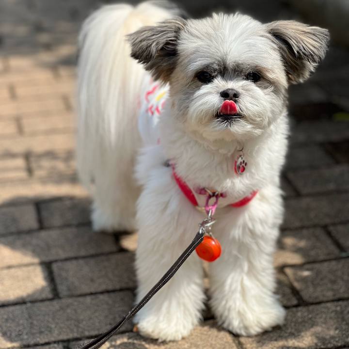 5995b470 3407 408a 9891 d0bae17968d2 1652840294209