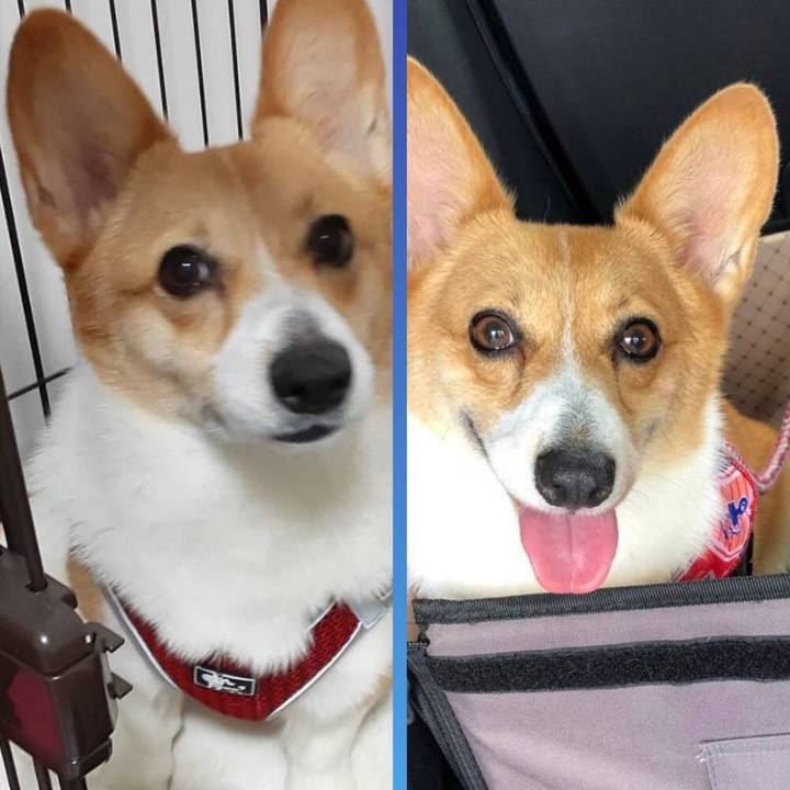 5995badb b840 4f3f b332 a8eb50cf4226 1700488809795