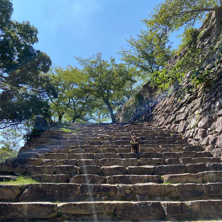 5995e1c3 cf55 42f4 9740 2636500c98d3 1630422076730