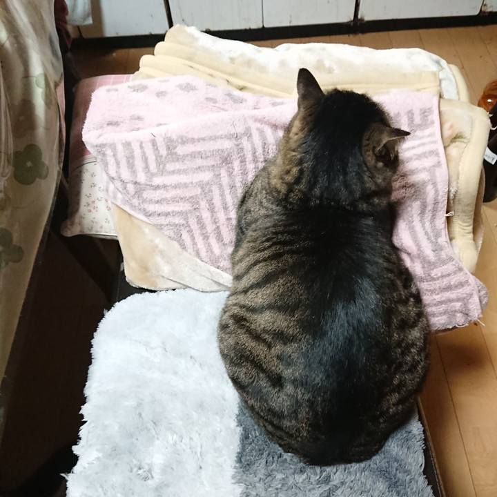 59960a72 18a1 43d4 97e7 842e5b62d769 1644238379692