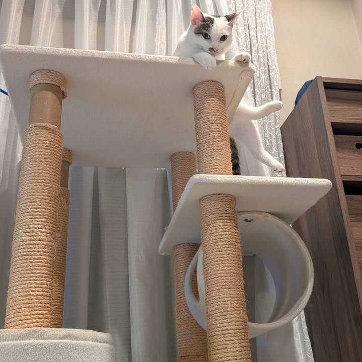 59960d4d c96a 4716 b9ea 3c23d3abb509 1757569018288