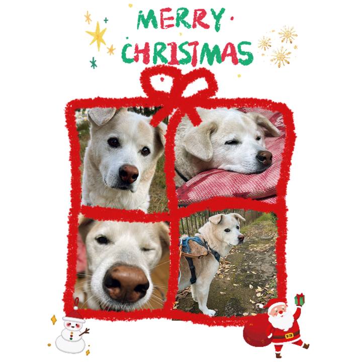 5996c1aa c603 43d8 b1f4 e15272fce3e3 1735006314811