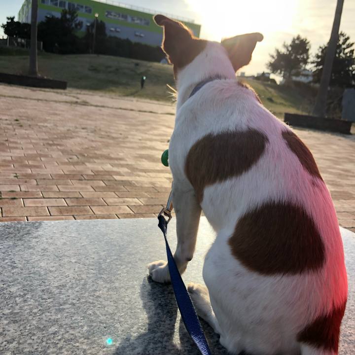 5996fa73 4c70 4fe7 b6f3 11d981d80361 1552542082871