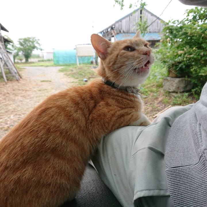 59971391 963b 4d80 9075 005126fca7c0 1592772660354