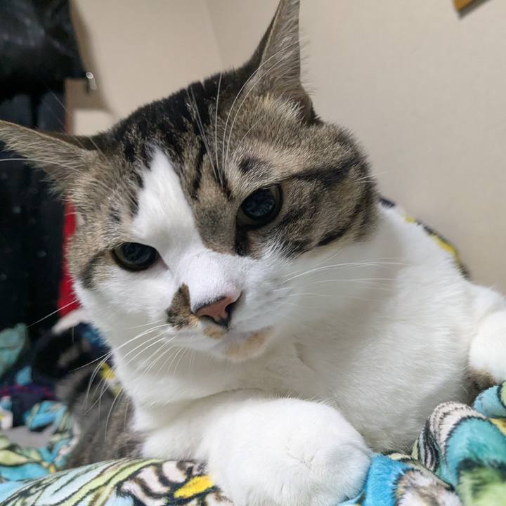 5997481c a18a 4529 8488 76e5b7511e51 1762613950064