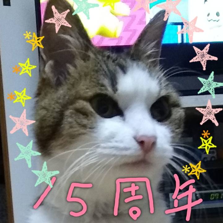 59974a21 c369 40f7 9abd 27fcc4ca4271 1559824466540