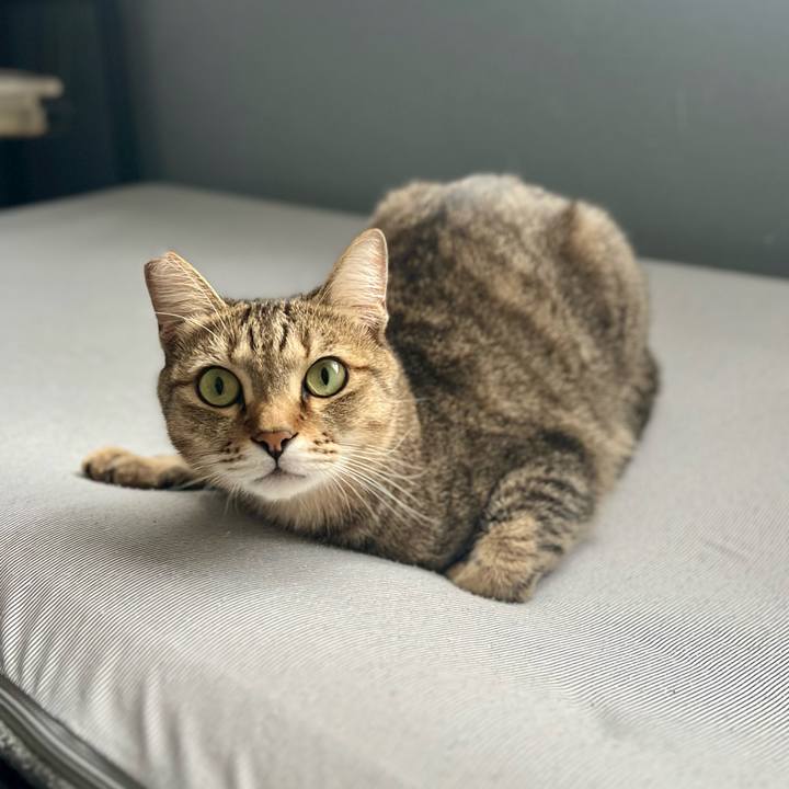 5997ac9b 921a 4208 8706 b4c5986e4a77 1762260173702