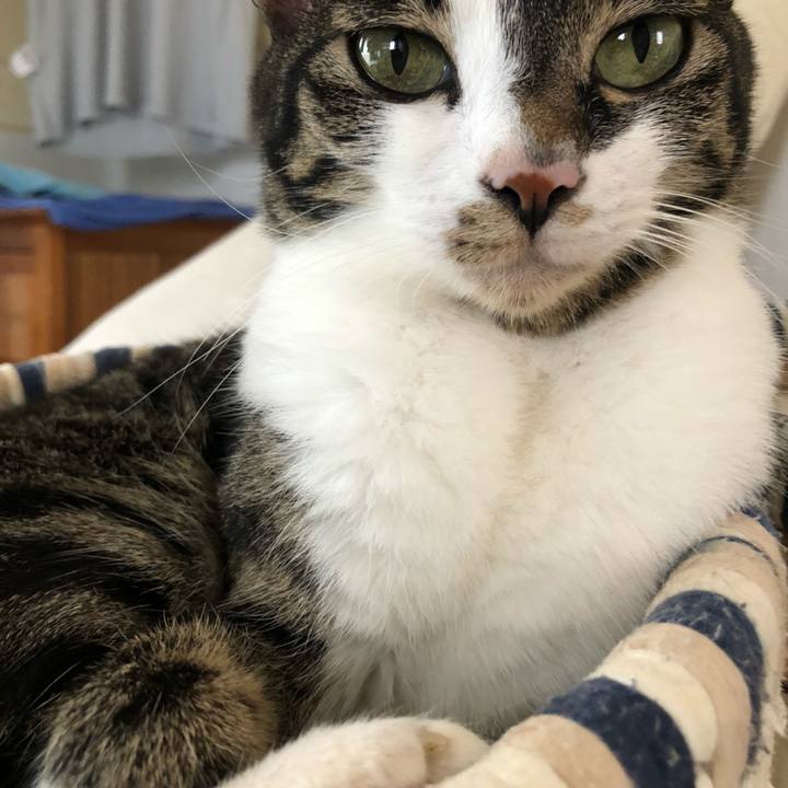 5997f39d bdbd 47fe 8628 2e1fd599b331 1625312308032