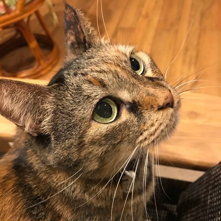 5997f471 943d 4a79 92eb b9df4099f3e6 1551101491869