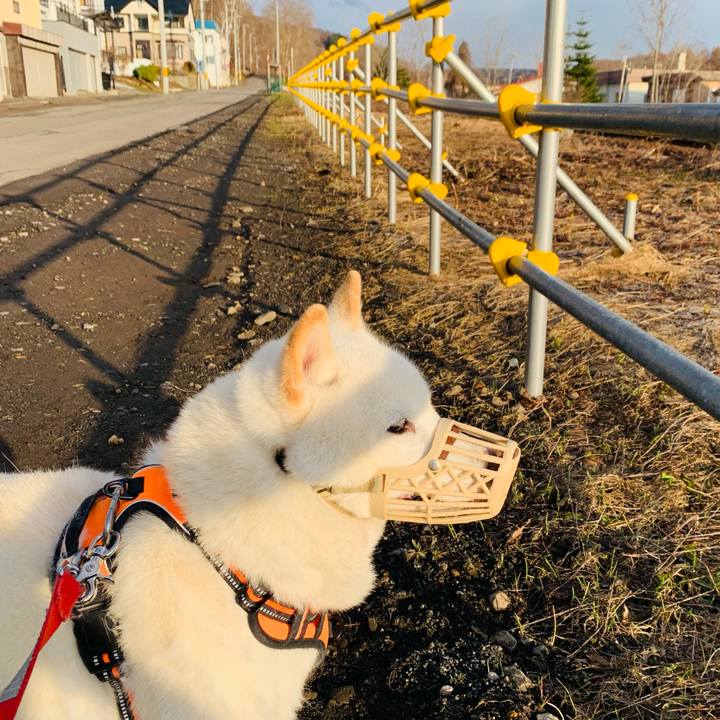 59980e8d 407d 4b64 b82c 883edd834f6e 1617832073869