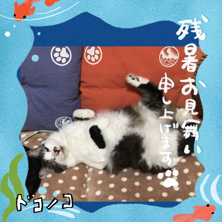 59981d48 e2e6 43c2 bc25 7672129d9c20 1723226323261