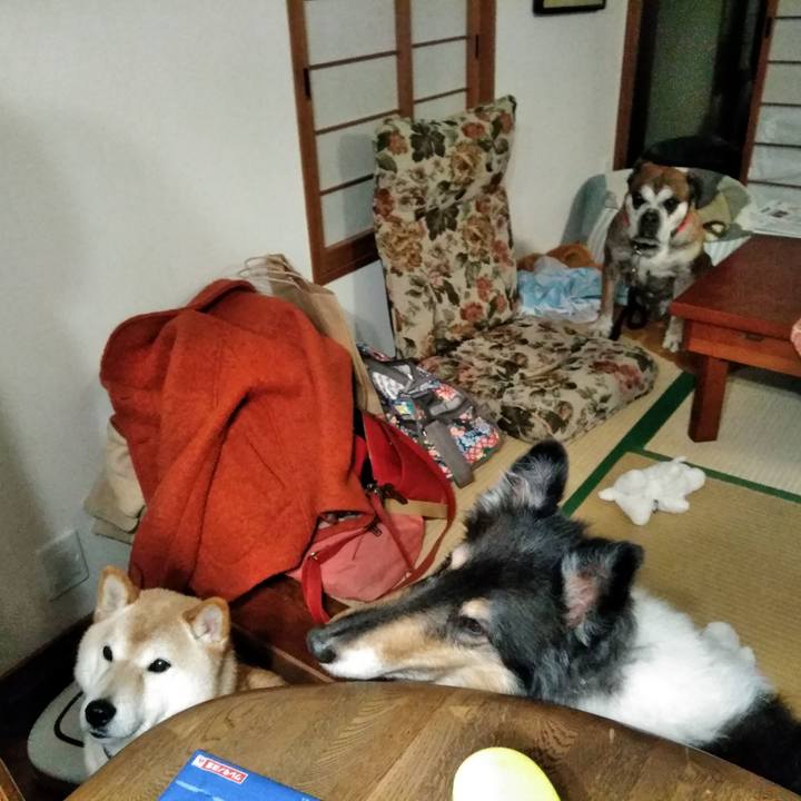 599828c8 de09 4d55 9821 3604c97a10fc 1552017790971