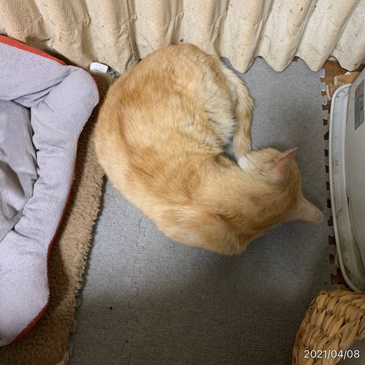 59982bf8 45ea 4e70 9cfc 945850327a2d 1617885590263