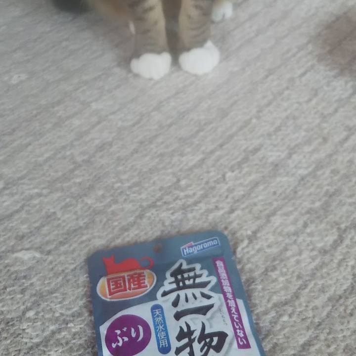 59983871 0daf 4f05 af5f 0f0dbeefa26f 1620573456791